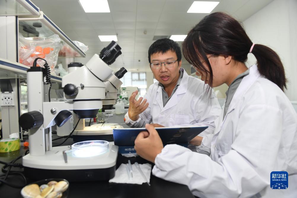 澳门赌钱手机游戏